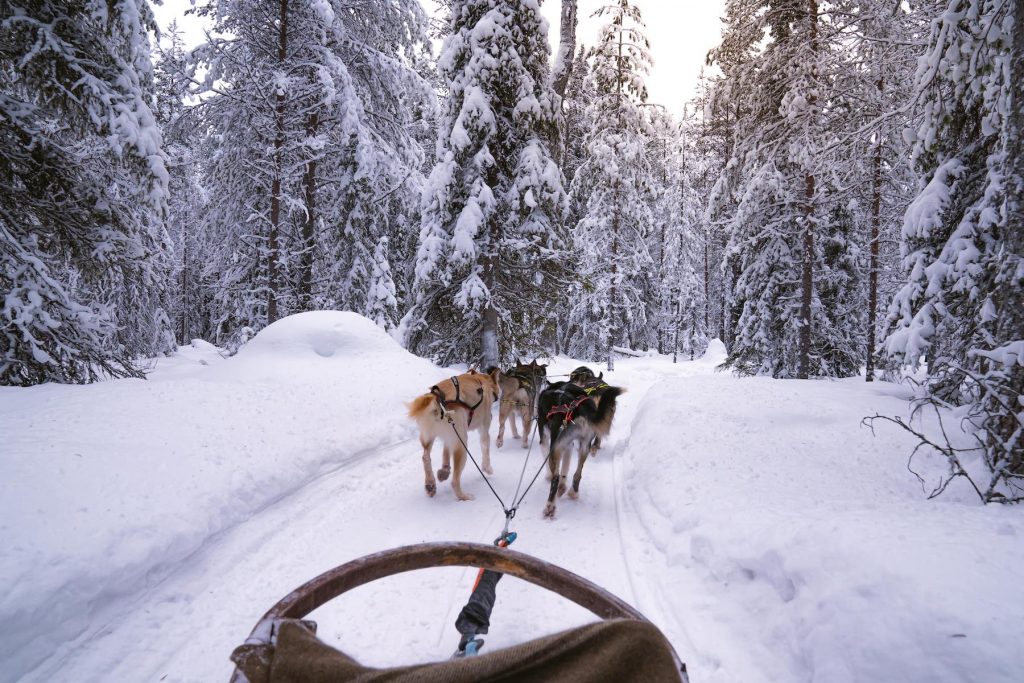 Lapland activiteiten: 11x must do